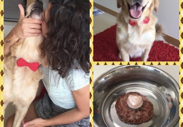 Sağlıkla Yaşasın, Güzel Yaş Alsın 🐾